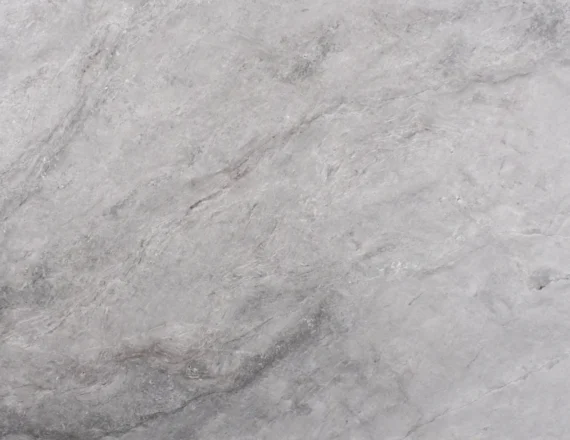 Bellini_slab-scaled.jpg