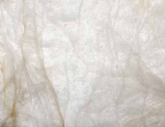CRYSTAL_WHITE_02