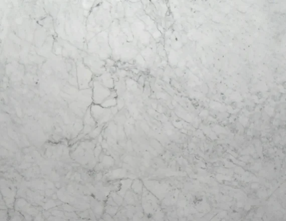 Marmore-Carrara-Gioia-Dalmata-1000x2000-1.jpg