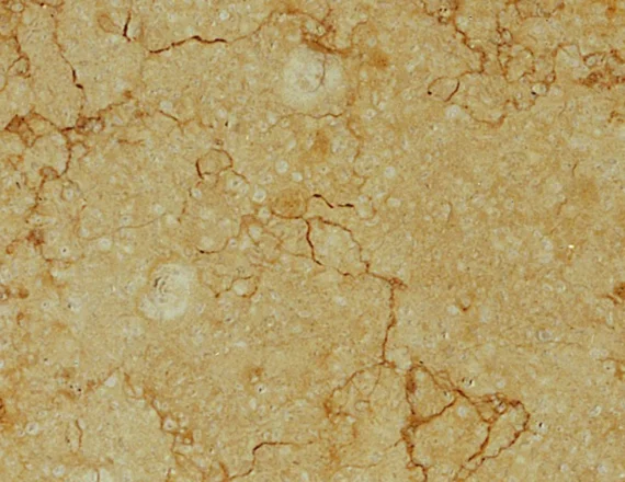 Marmore-Giallo-Reale-1000x2000-1.jpg